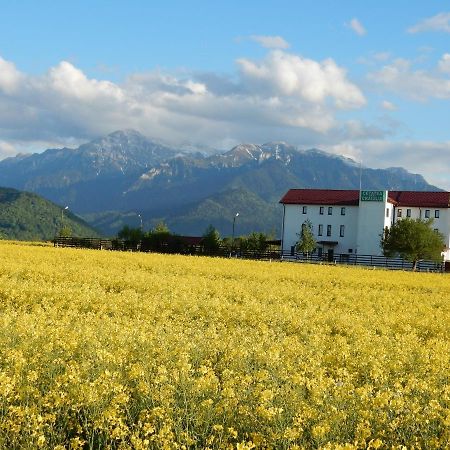 Pensiunea Cetatea Craiului Rîşnov エクステリア 写真