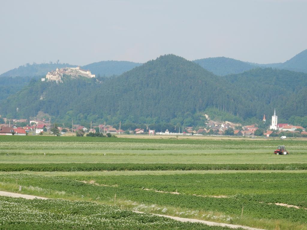 Pensiunea Cetatea Craiului Rîşnov エクステリア 写真