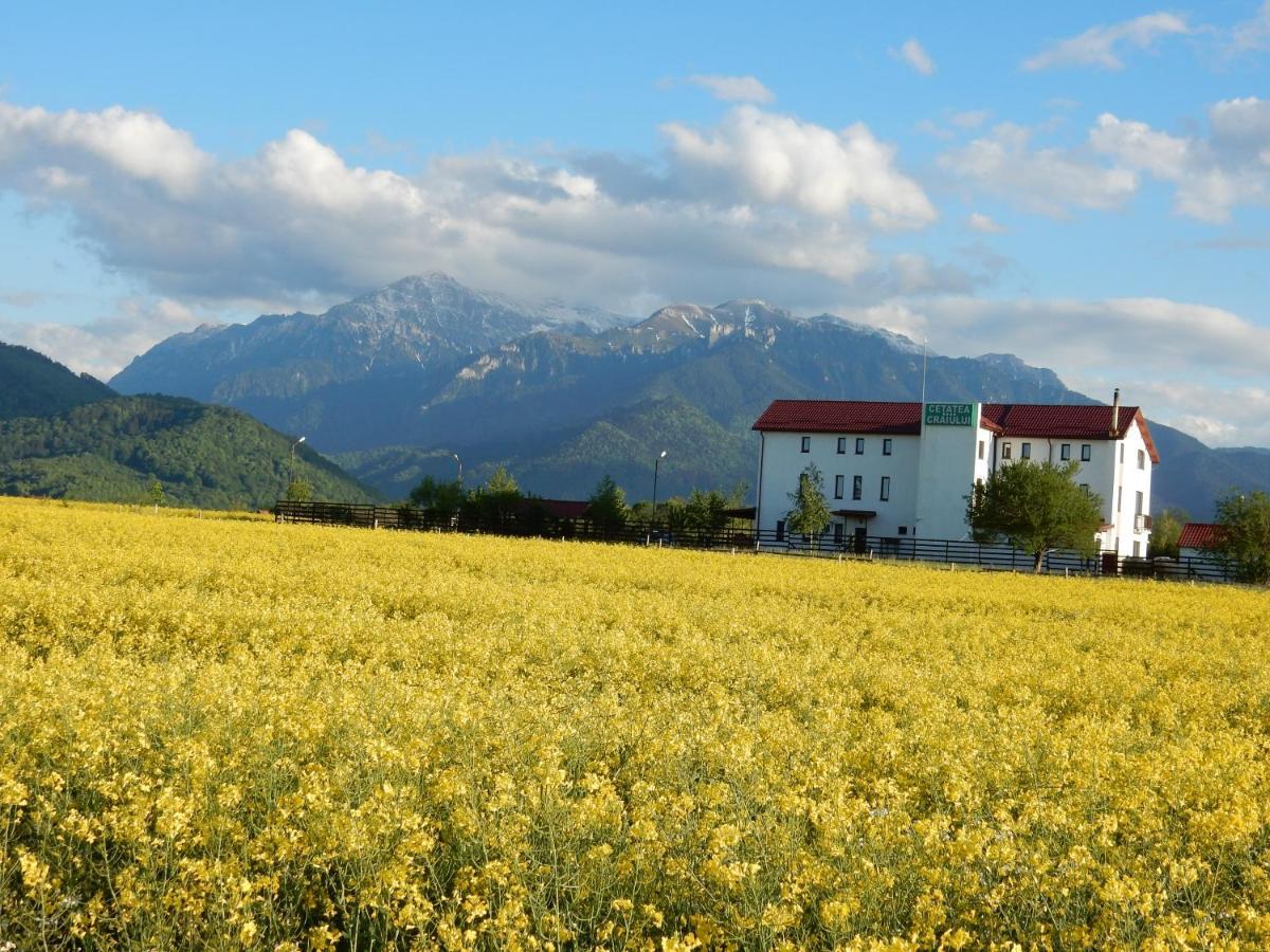 Pensiunea Cetatea Craiului Rîşnov エクステリア 写真